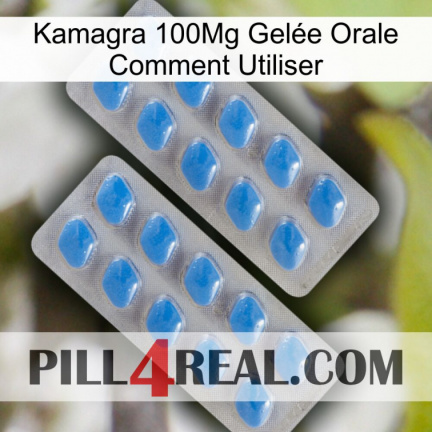 Kamagra 100Mg Gelée Orale Comment Utiliser 23